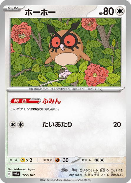 Hoothoot (Terastal Fest ex Japanese)
