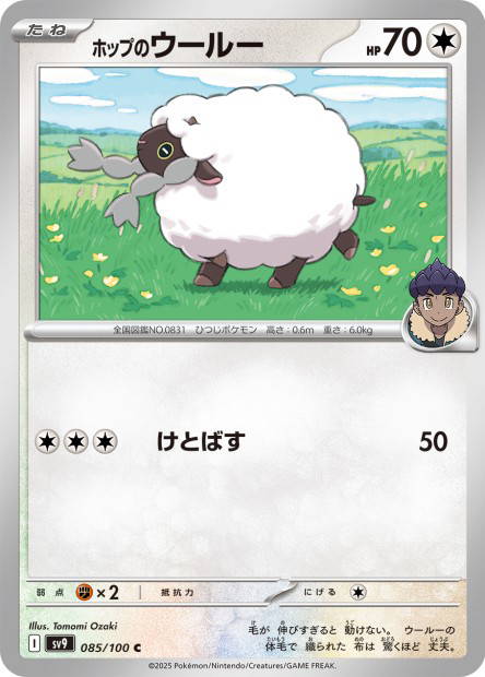 Hop's Wooloo (Battle Partners Japanese)