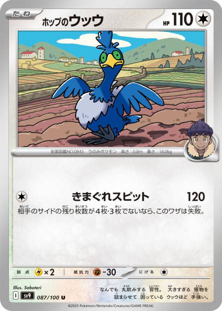 Hop's Cramorant (Battle Partners Japanese)